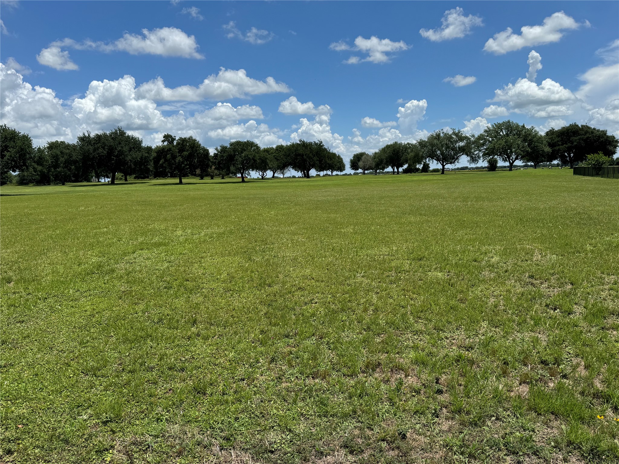 320 Mavanelle Cove Hempstead, TX 77445 - Photo 13 of 13 a view of a golf course
