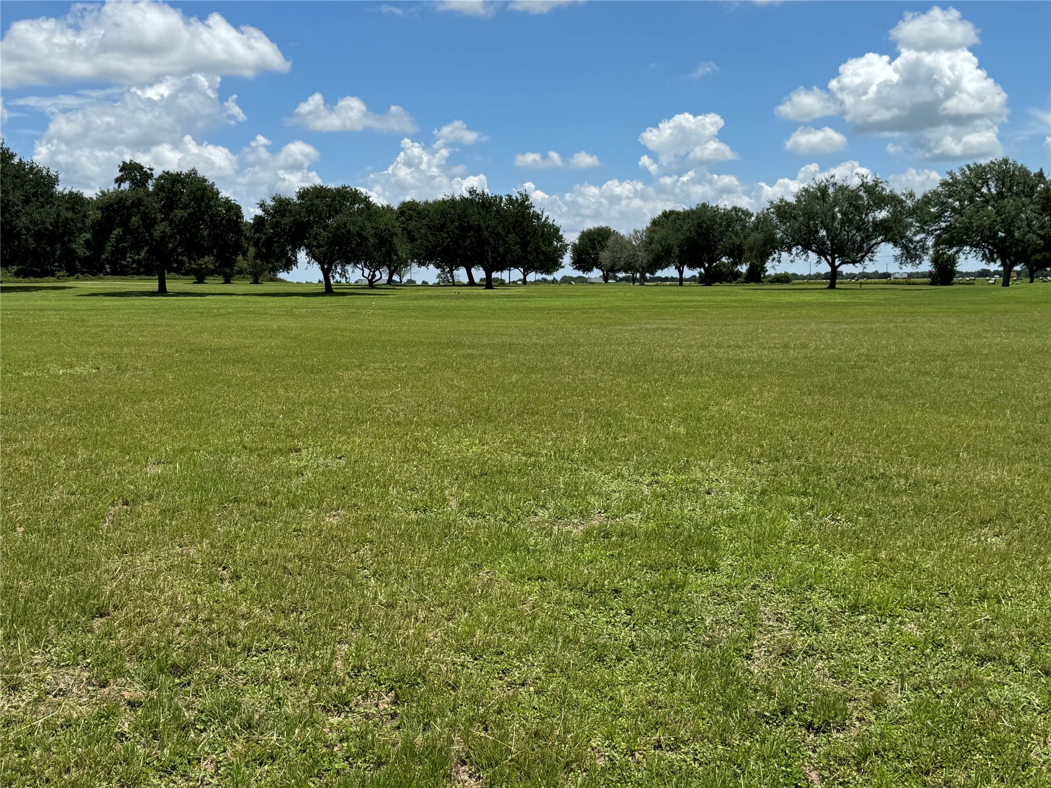 320 Mavanelle Cove Hempstead, TX 77445 - Photo 2 of 13 a view of a golf course with a lake