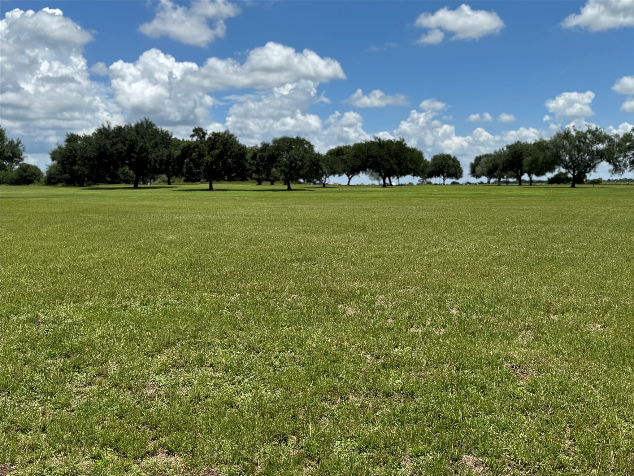 320 Mavanelle Cove Hempstead, TX 77445 - Photo 3 of 13 a view of a golf course