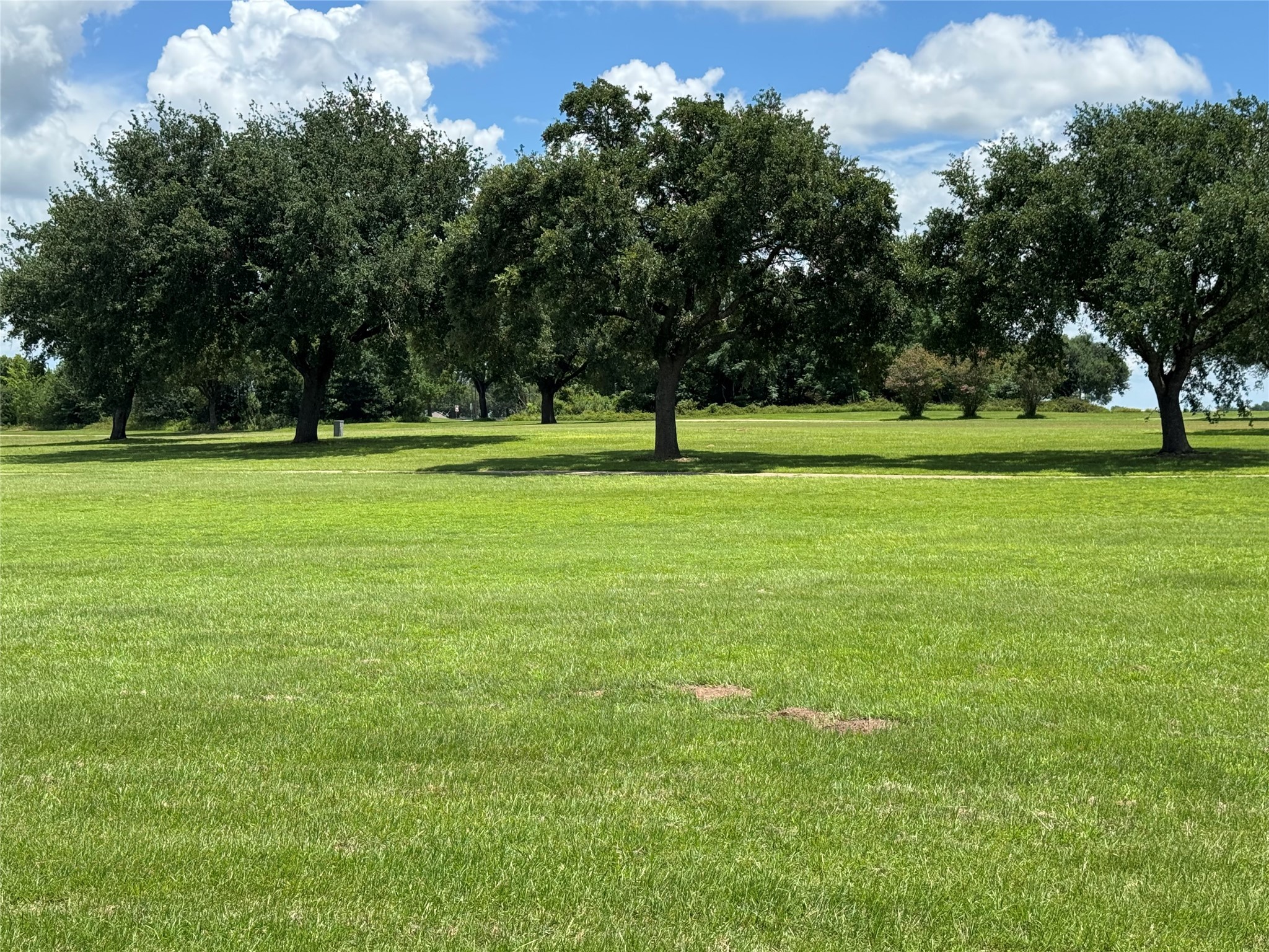 320 Mavanelle Cove Hempstead, TX 77445 - Photo 4 of 13 a ground with lots of trees