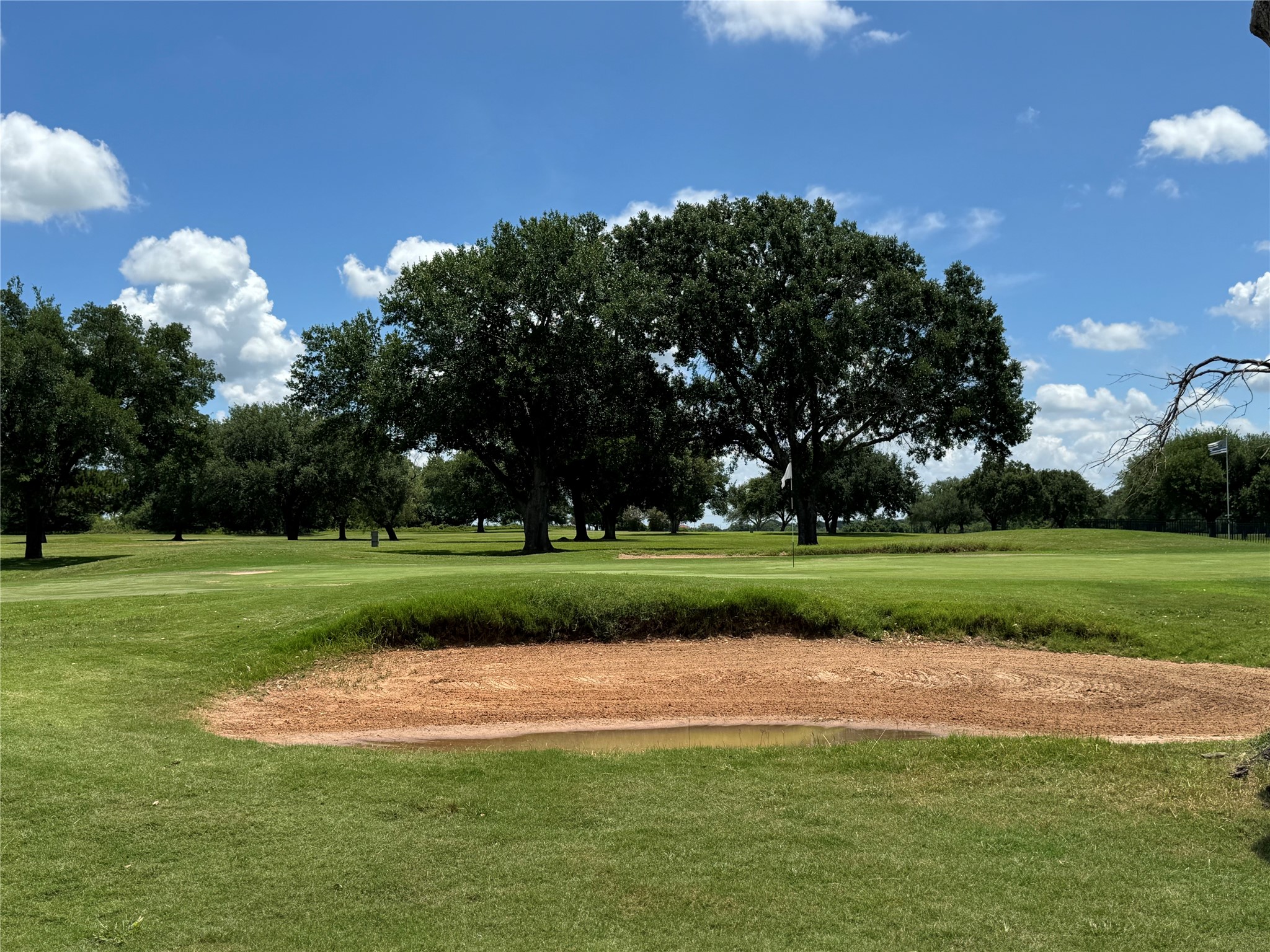 320 Mavanelle Cove Hempstead, TX 77445 - Photo 7 of 13 a view of a golf course