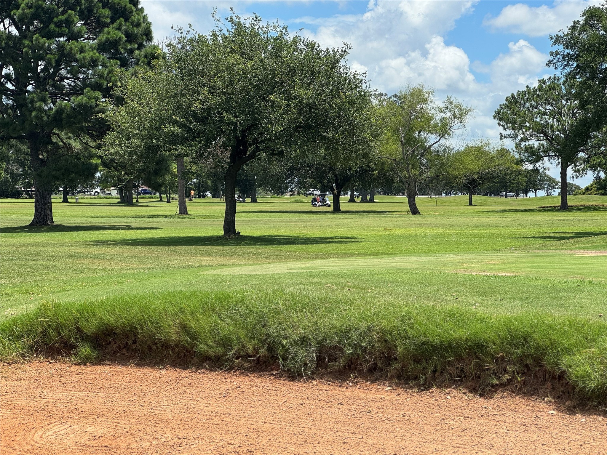 320 Mavanelle Cove Hempstead, TX 77445 - Photo 8 of 13 a big yard with lots of green space and trees