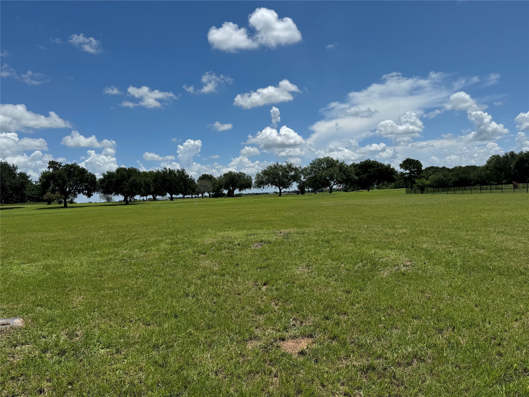 320 Mavanelle Cove Hempstead, TX 77445 - Photo 10 of 13 a view of a golf course with a lake