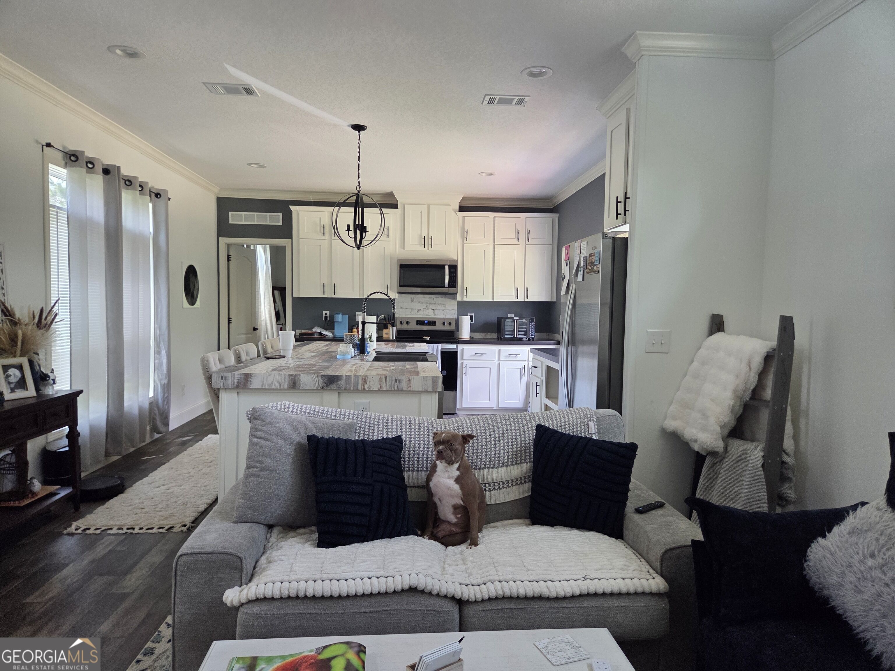 147 McIntyre Road Mount Vernon, GA 30445 - Photo 2 of 22 Gallery Image 2