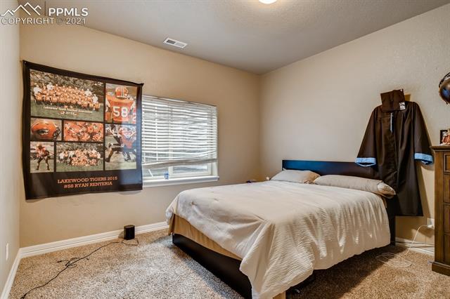 6222 Jorie Road Colorado Springs, CO 80927 - Photo 17 of 27 Basement bedroom 1