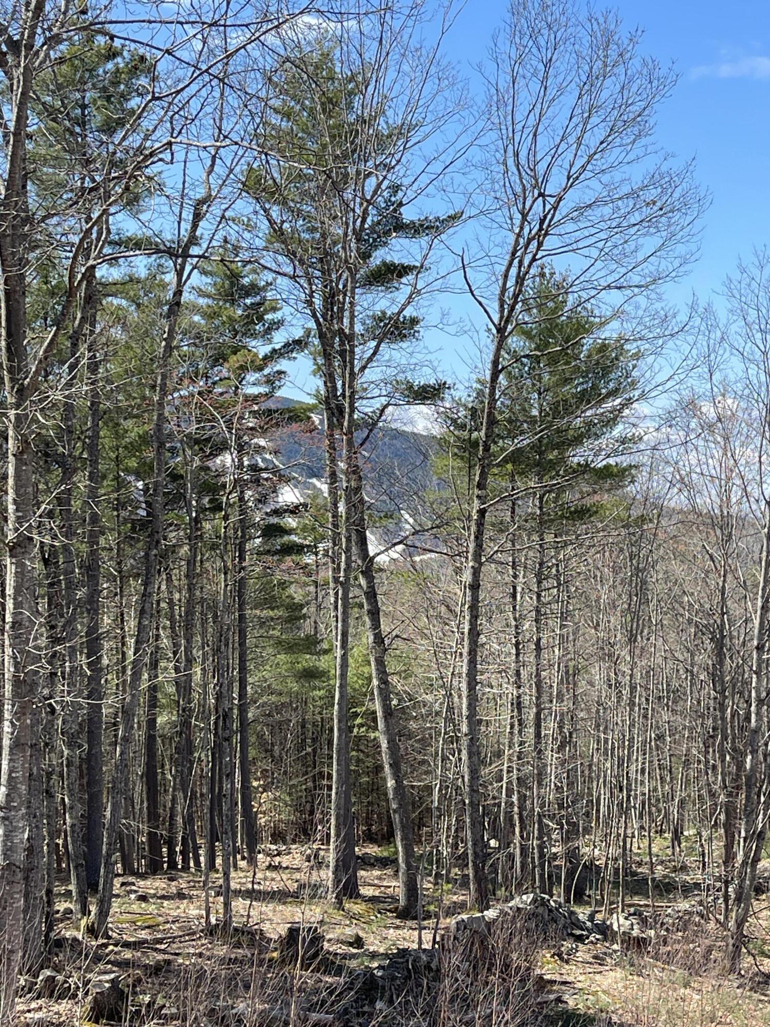 272 Sam Ingalls Road Bridgton, ME 04009 - Photo 25 of 48 IMG_7087