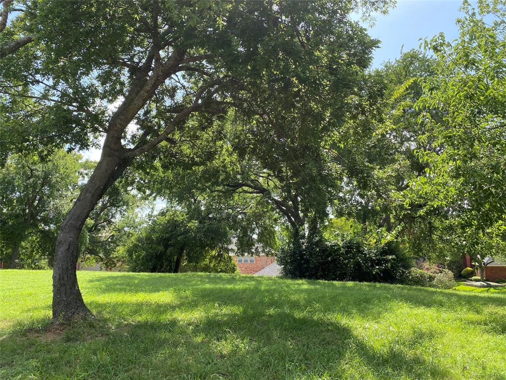 702 South Alamo Road Rockwall, TX 75087 - Photo 2 of 9 a big yard with lots of green space and trees