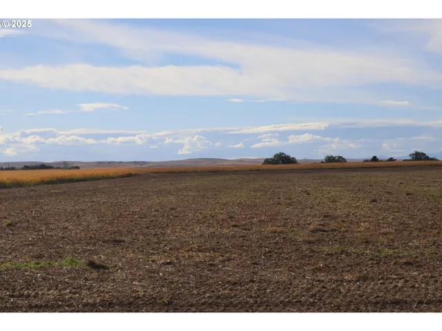 a view of an ocean and mountain