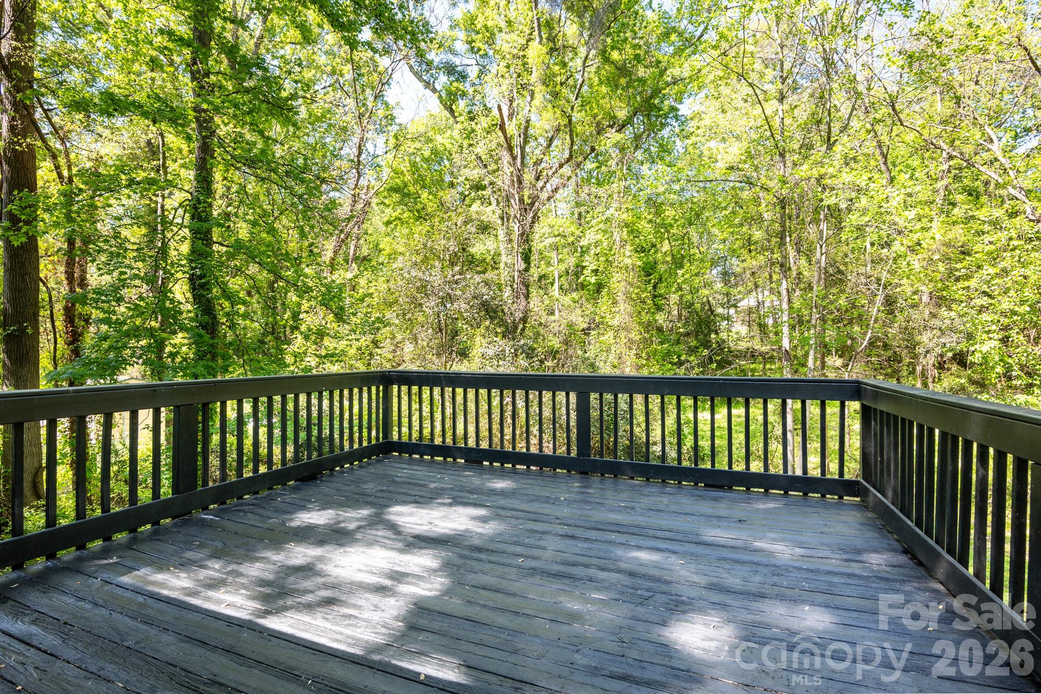 116 Springdale Drive York, SC 29745 - Photo 2 of 32