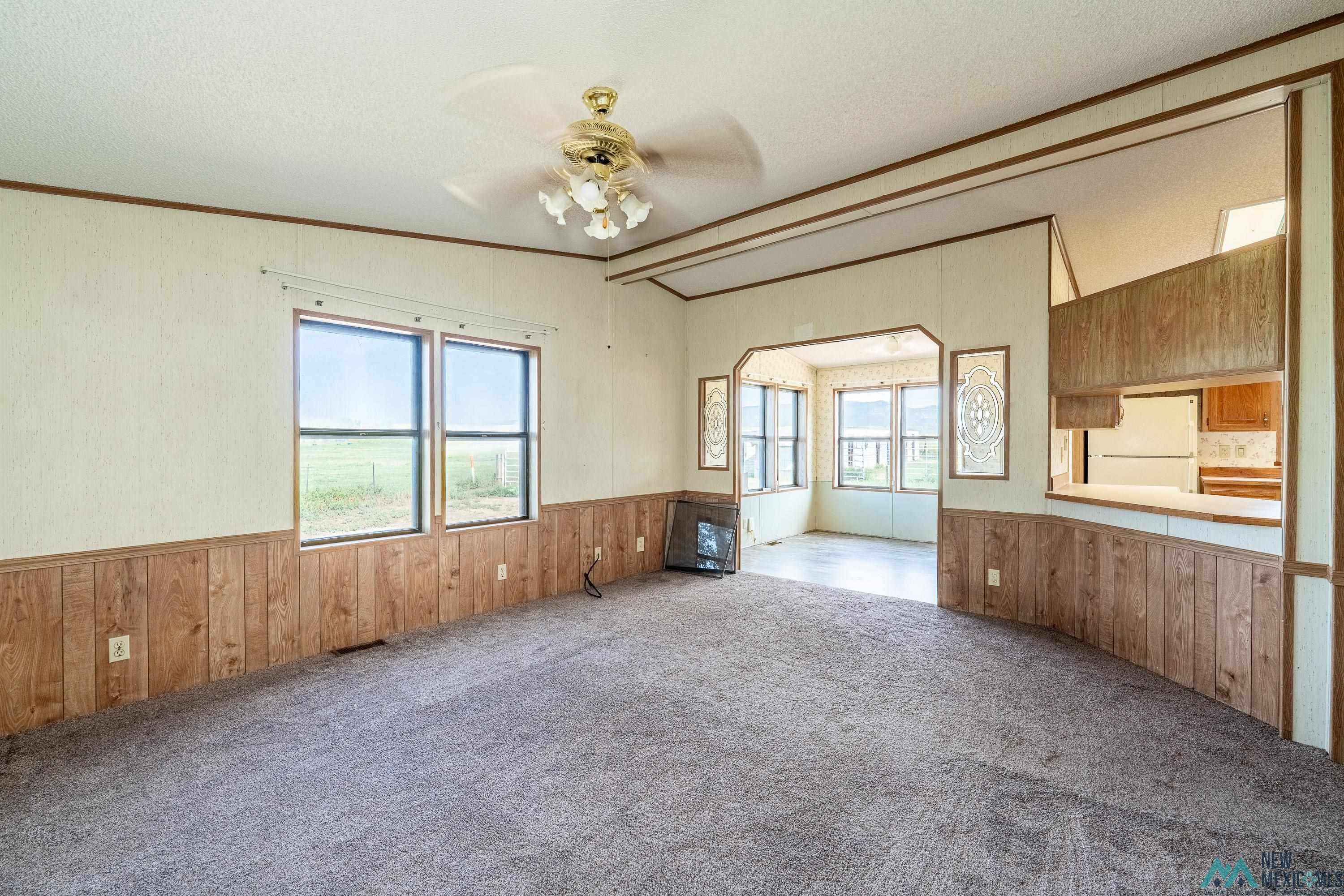 35234 Highway 87 Raton, NM 87740 - Photo 38 of 90 Unfurnished living room with wood walls, wainscoting, ornamental molding, carpet floors, and ceiling fan