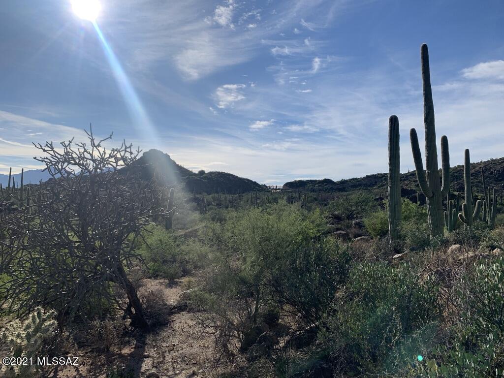 North Sacred Canyon Road Marana, AZ 85658 - Photo 12 of 16