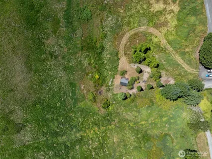 a close up of a plant in a garden