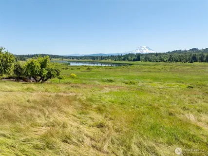 a view of an ocean from a yard