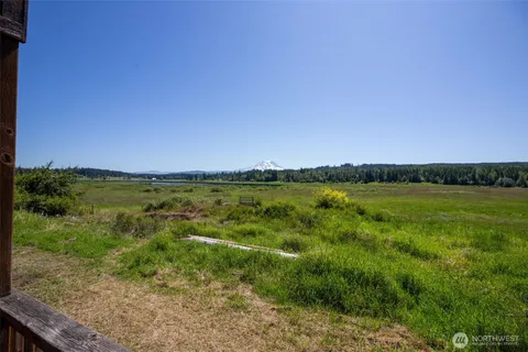 a view of a garden with an ocean