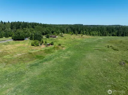 a view of a grassy field with trees in the background