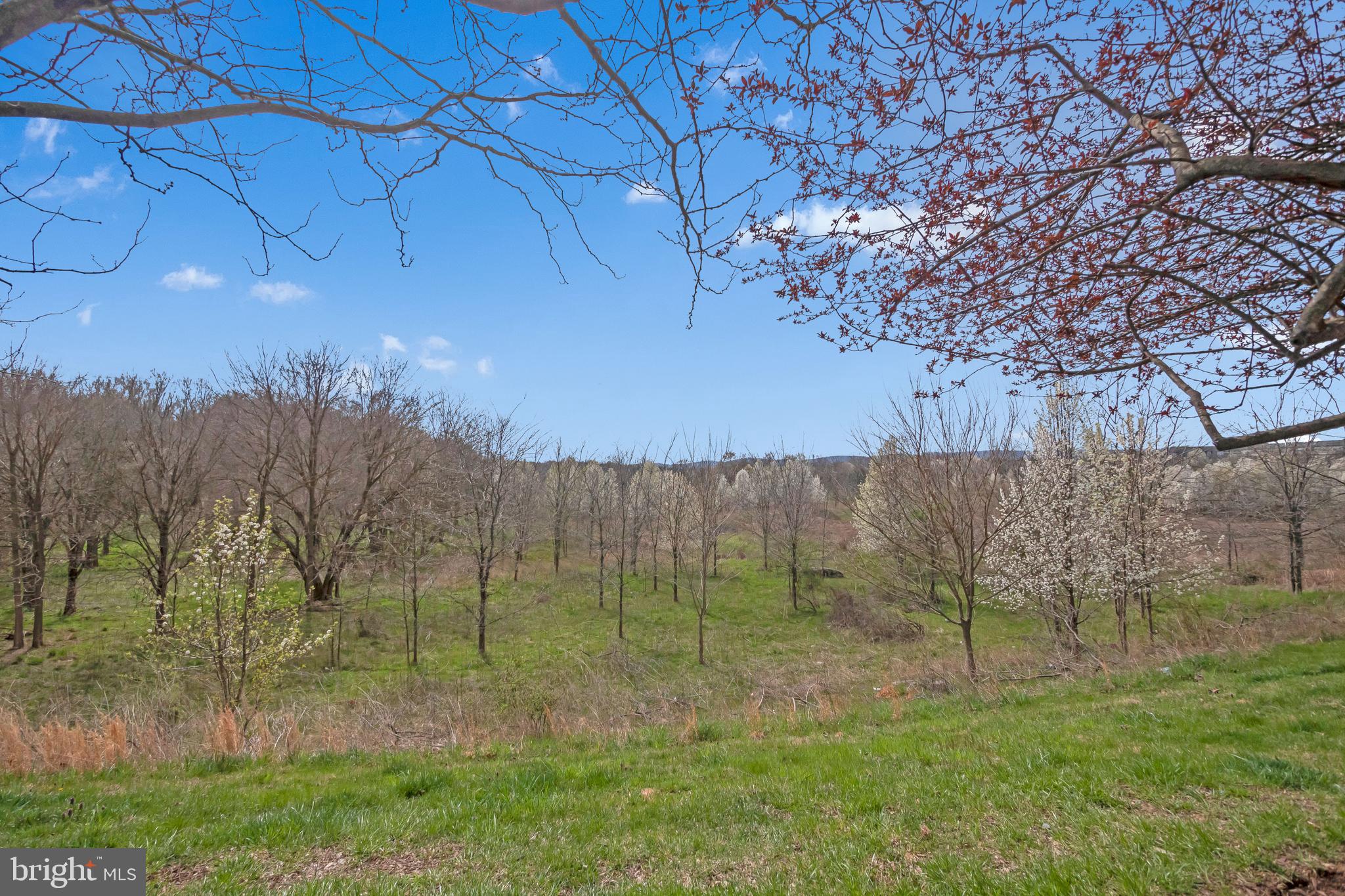 1834 Monocacy View Circle, Unit 53B Frederick, MD 21701 - Photo 30 of 30 a view of a back yard