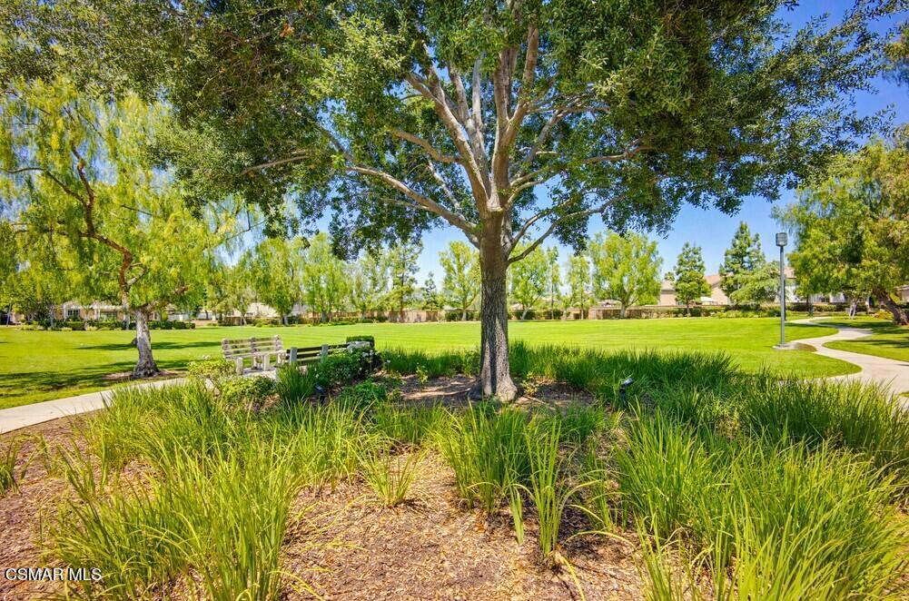 1909 Taormina Court Riverside, CA 92507 - Photo 52 of 58 a view of lake with green space
