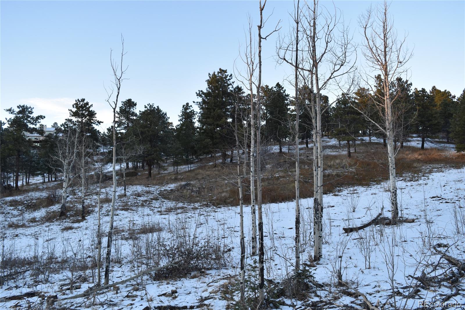 16750 Elk Ridge Road Littleton, CO 80127 - Photo 23 of 25 a view of a tree in a yard