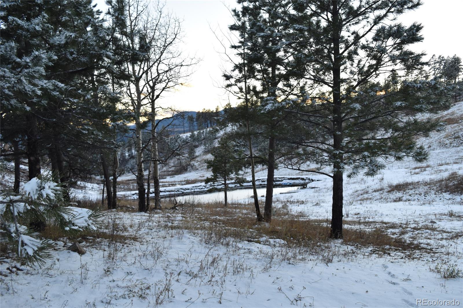 16750 Elk Ridge Road Littleton, CO 80127 - Photo 25 of 25 a view of trees with a tree