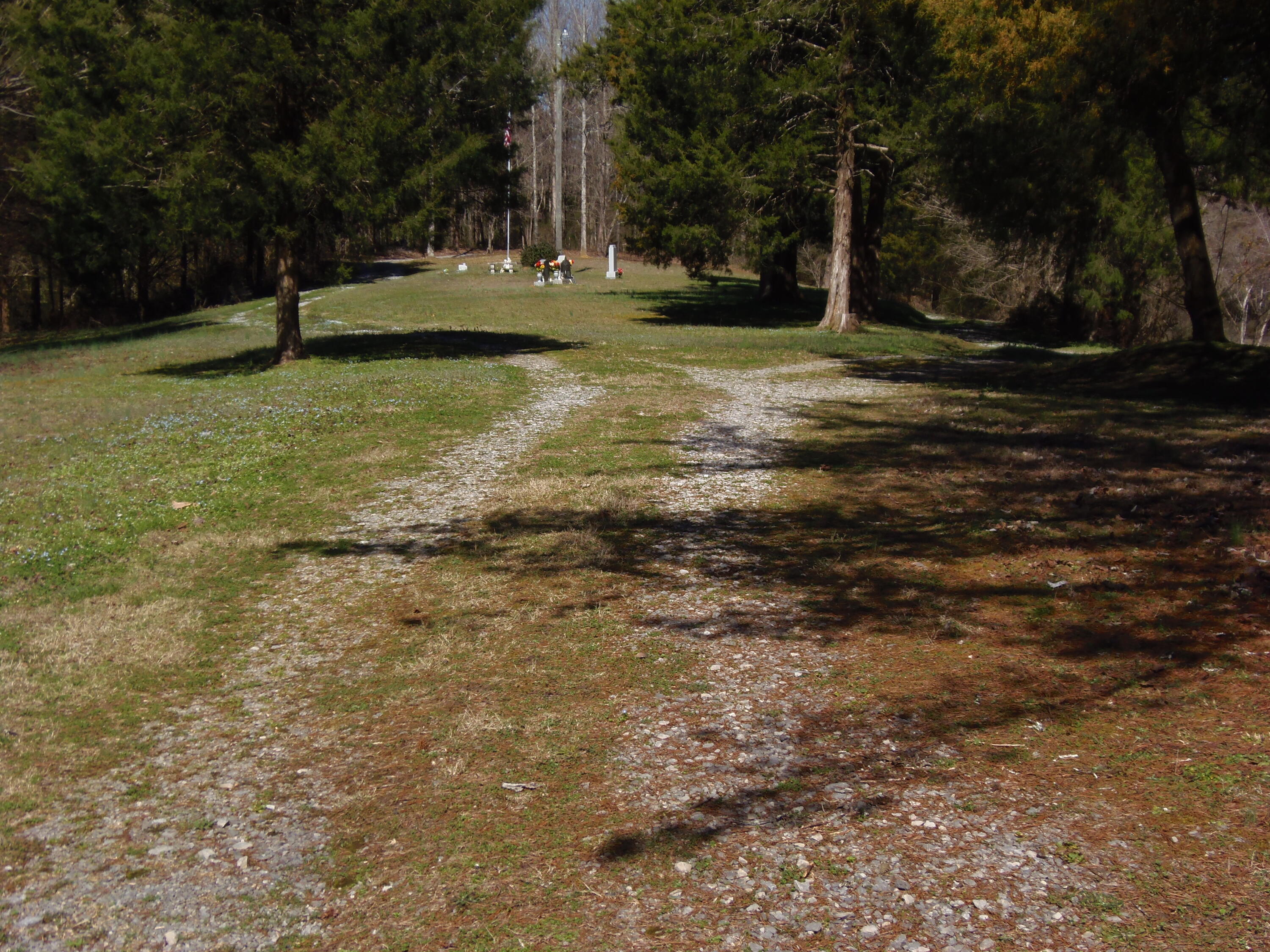 Reliance Road Tellico Plains, TN 37385 - Photo 2 of 22 Driveway to small cemetery