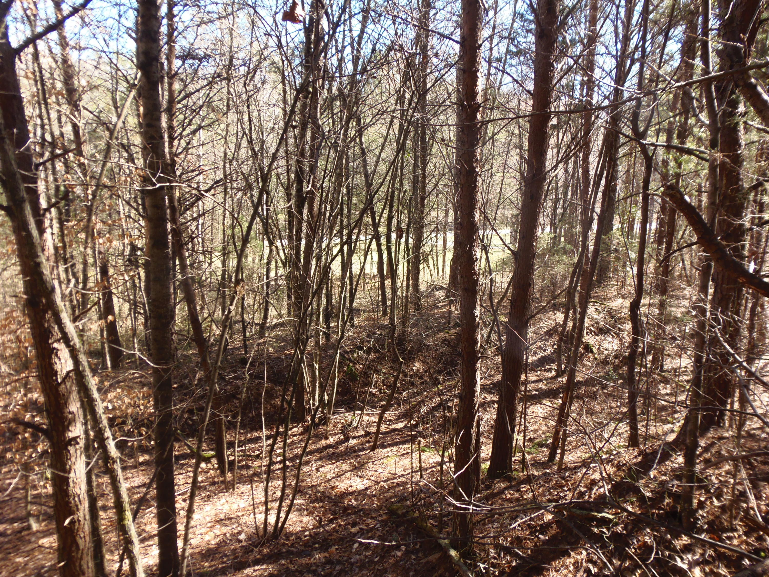 Reliance Road Tellico Plains, TN 37385 - Photo 14 of 22 P3030336