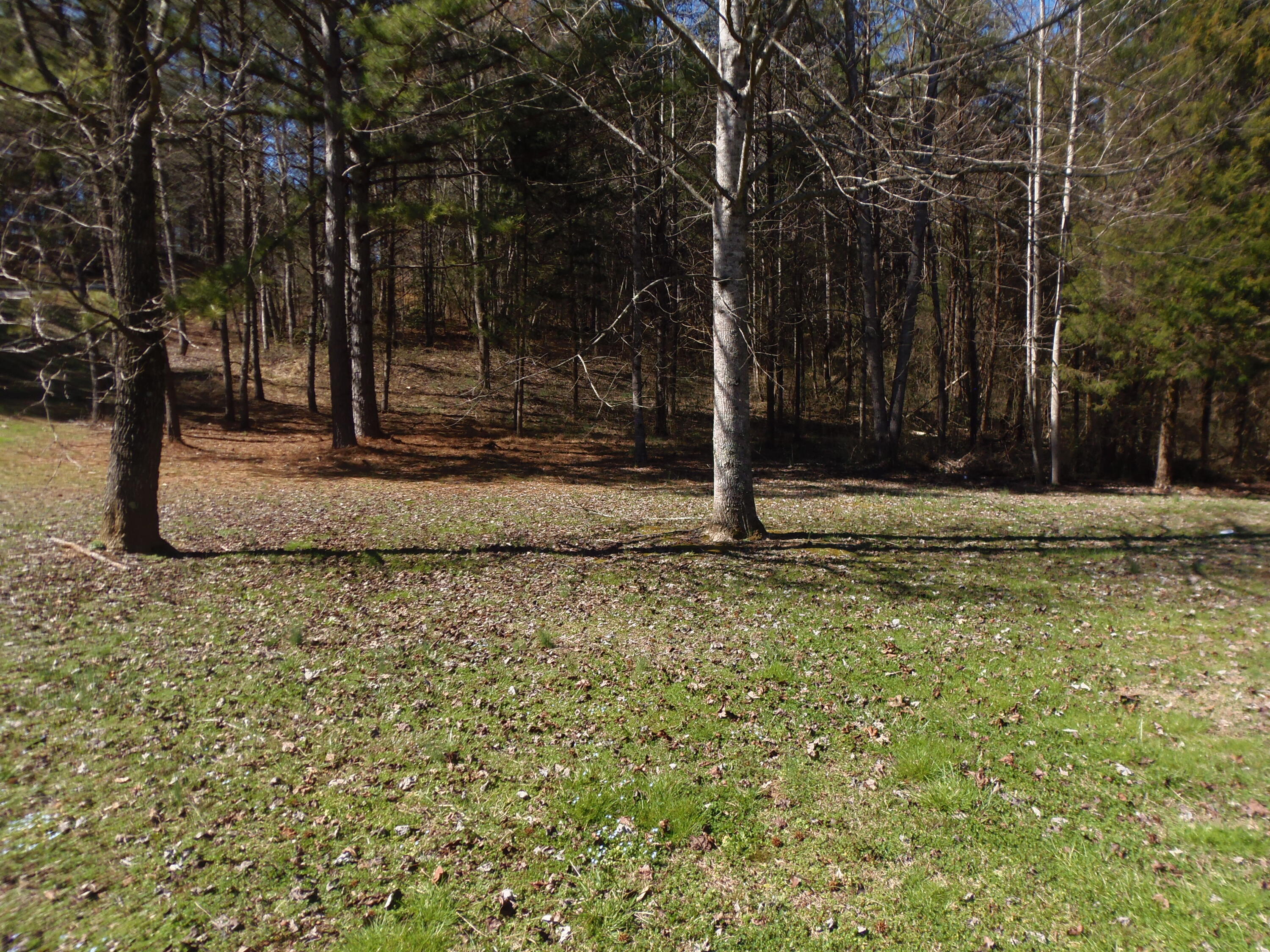 Reliance Road Tellico Plains, TN 37385 - Photo 17 of 22 P3030339