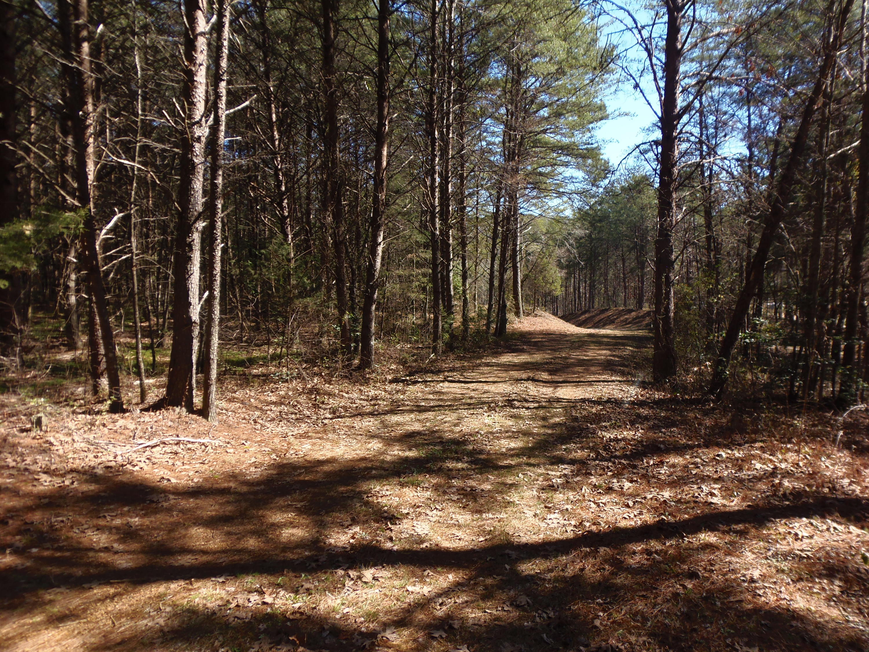 Reliance Road Tellico Plains, TN 37385 - Photo 18 of 22 left side of property