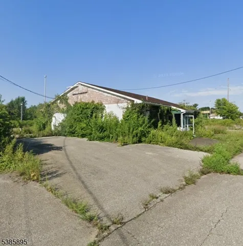 a view of a big room with potted plants