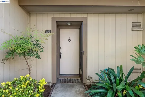 a view of a potted plant in front of a door