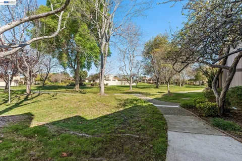 a view of a yard with basketball court