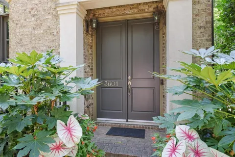 a backyard with potted plant