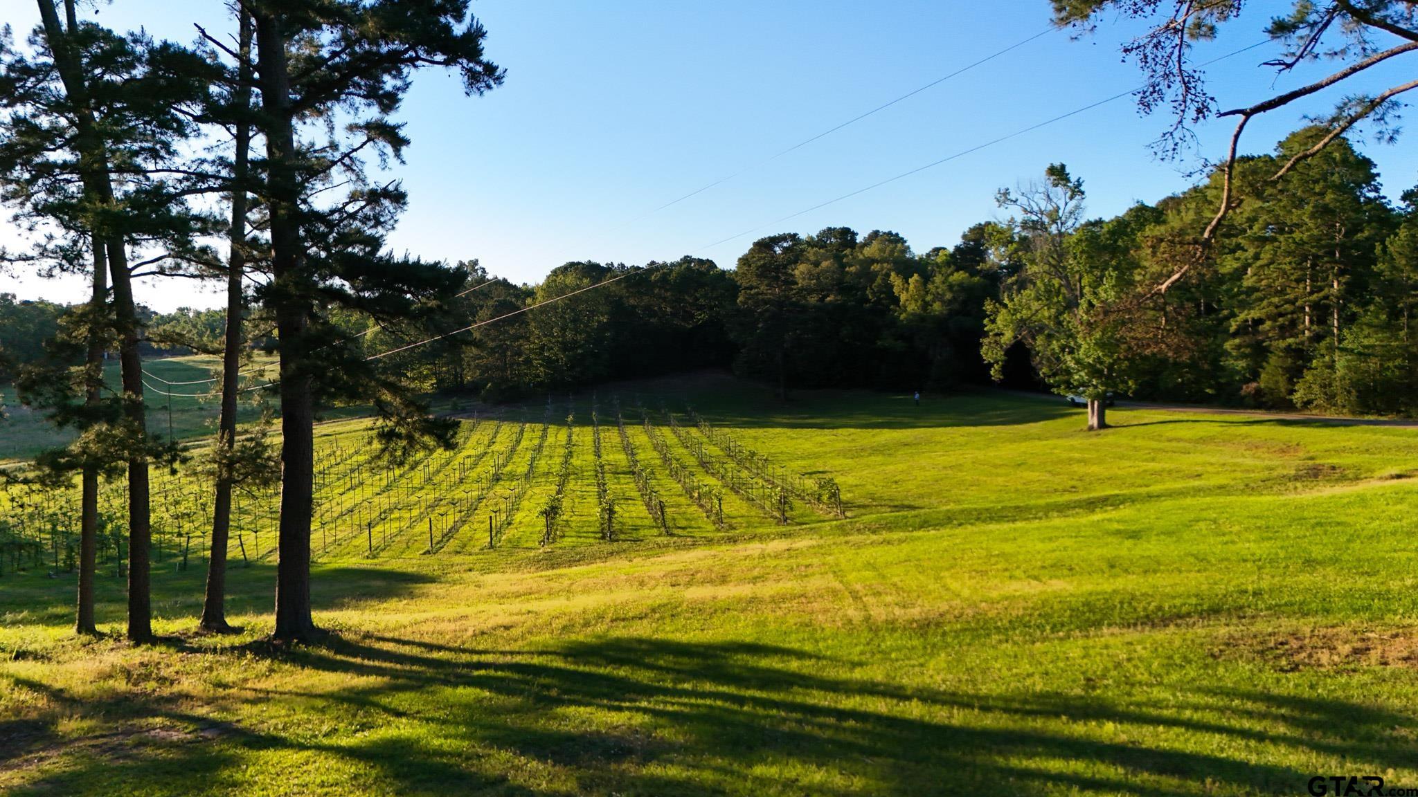 0 County Road 2680 Hawkins, TX 75765 - Photo 17 of 38