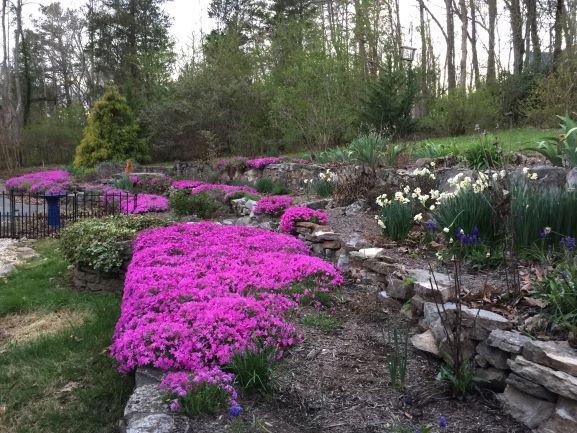 71 Dairy Pond Road Norris, TN 37828 - Photo 15 of 28 Gardens