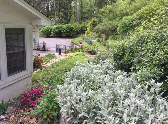 71 Dairy Pond Road Norris, TN 37828 - Photo 16 of 28 Flowers