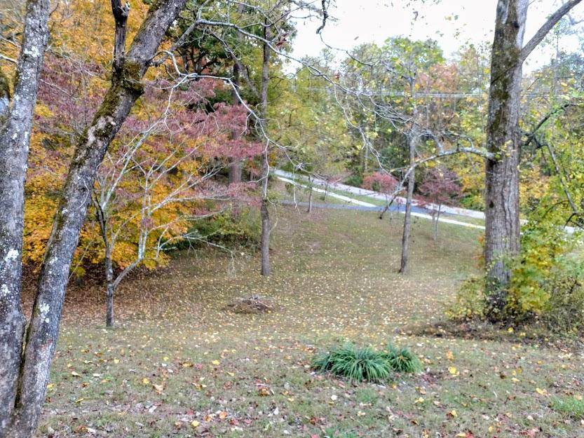 71 Dairy Pond Road Norris, TN 37828 - Photo 25 of 28 IMG_20191029_173745322