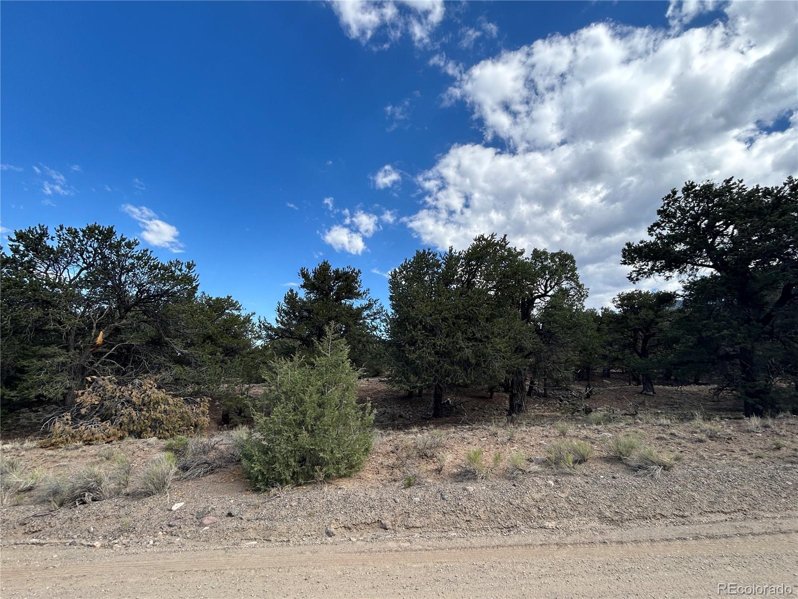 1761 Summitview Way Crestone, CO 81131 - Photo 6 of 12