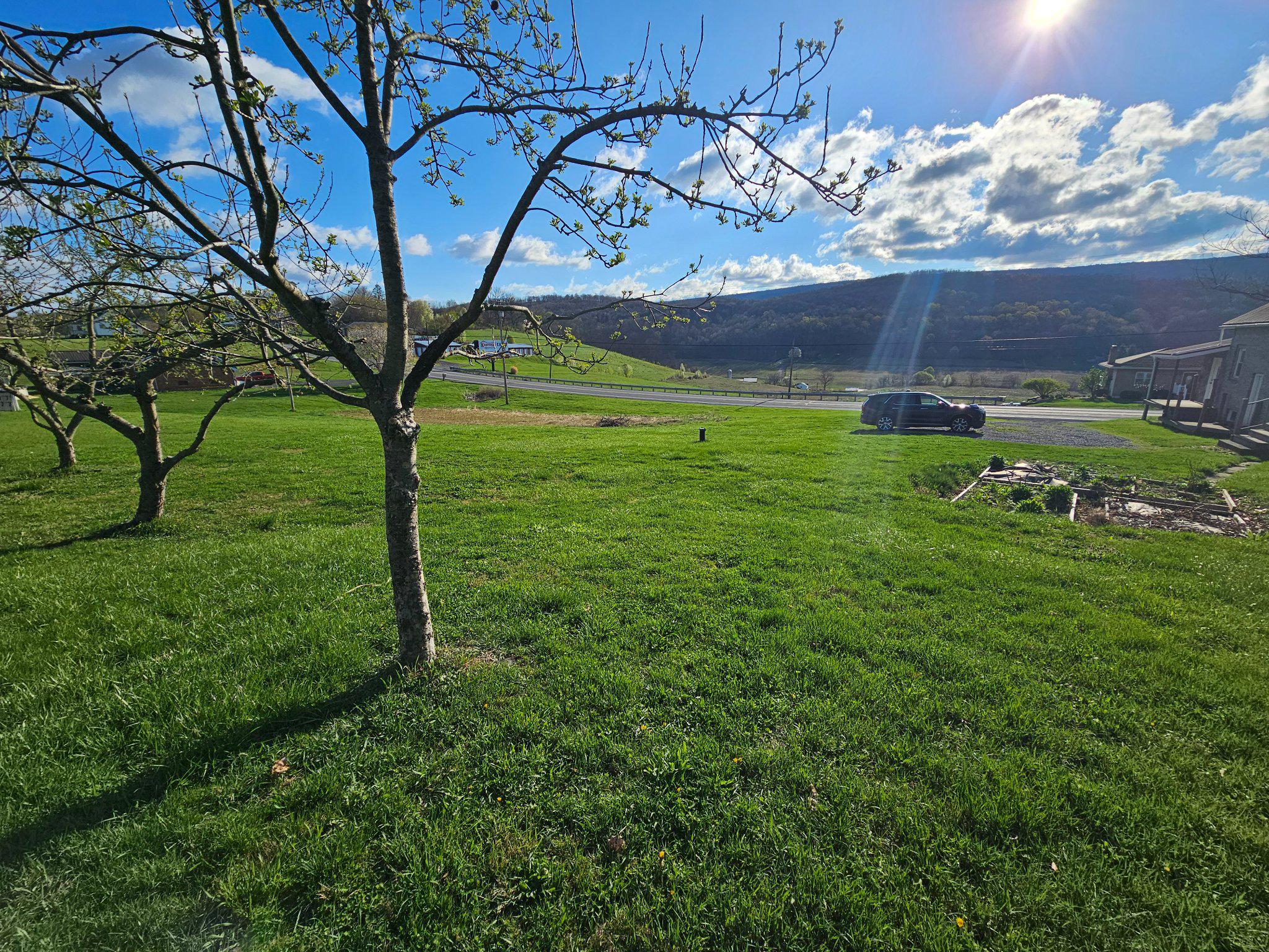 1967 Hyndman Road Hyndman, PA 15545 - Photo 4 of 41 apple and peach trees