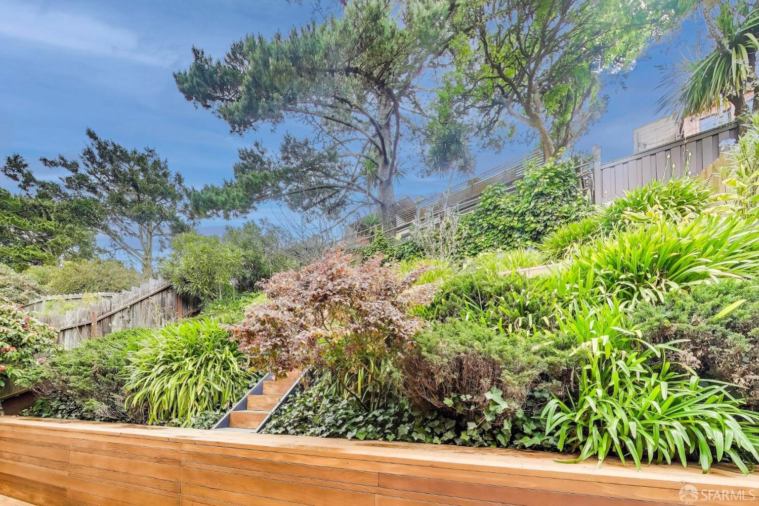 45 Turquoise Way San Francisco, CA 94131 - Photo 70 of 87 a view of a yard with plants and large trees