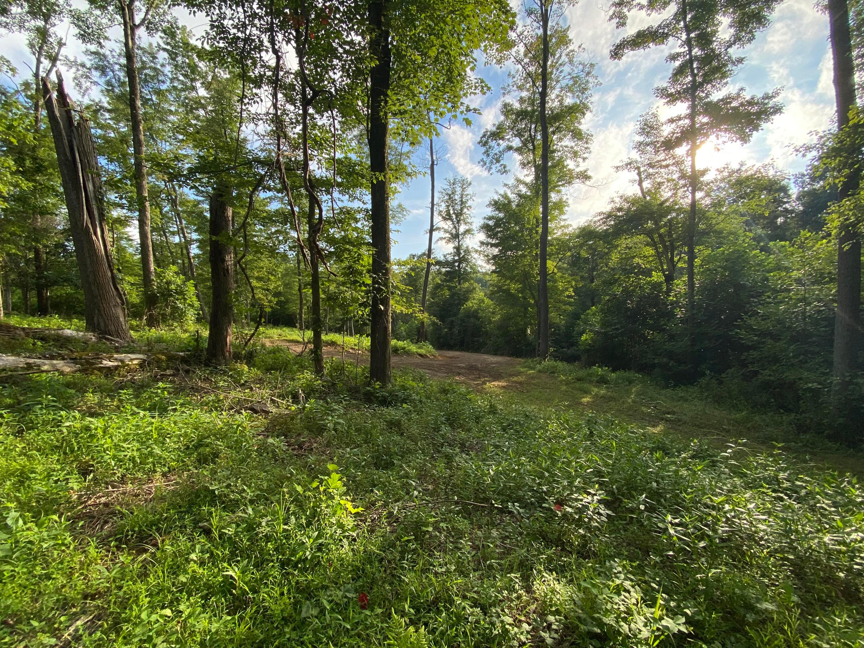 19794 Culp Road Logan, OH 43138 - Photo 14 of 23 19794 Culp Rd Hocking Hills
