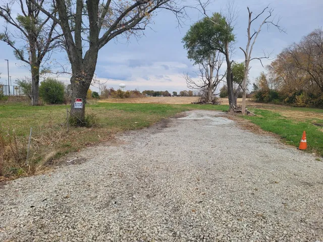 a view of a garden with trees