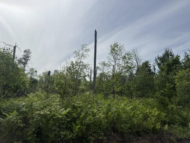 2 South Nelson Road Idlewild, MI 49642 - Photo 3 of 4 IMG_6957