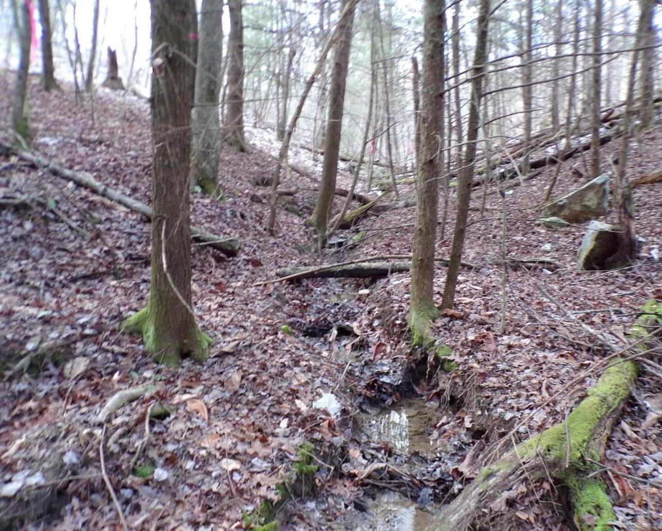 4200 Forest Service Road London, KY 40744 - Photo 39 of 44 Photo 39