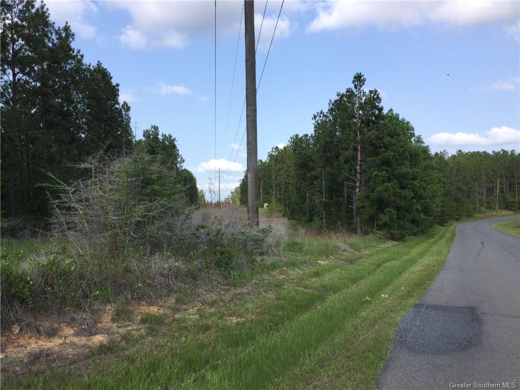 0 Stanley Road Leesville, LA 71446 - Photo 3 of 7