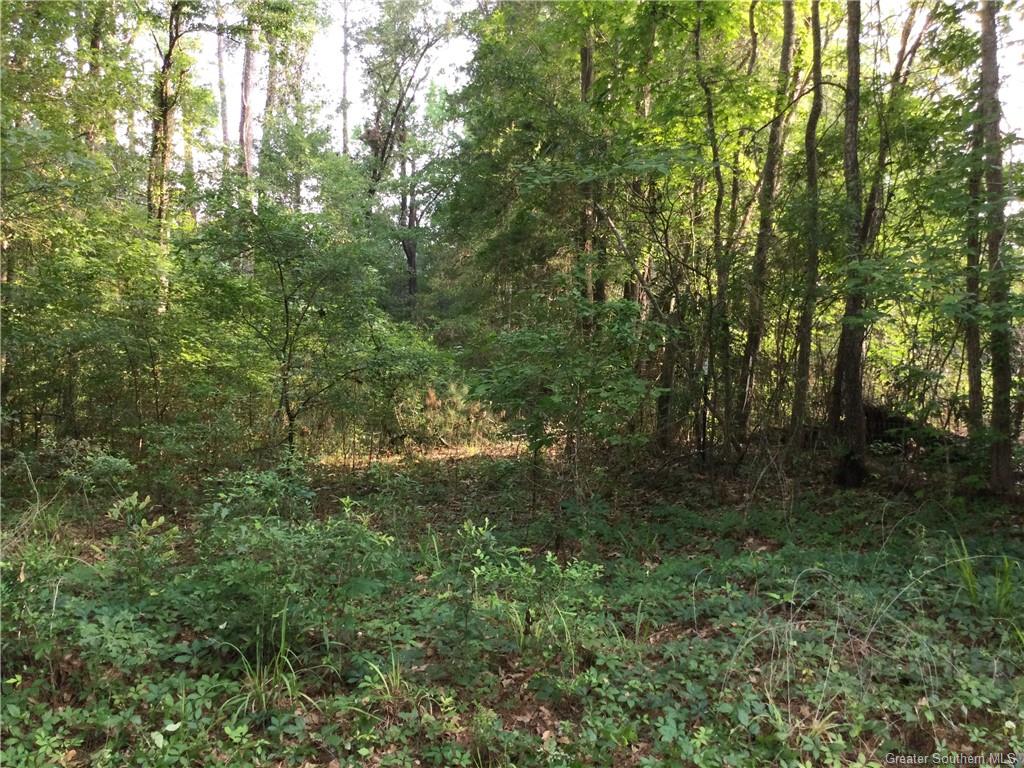 0 Stanley Road Leesville, LA 71446 - Photo 7 of 7