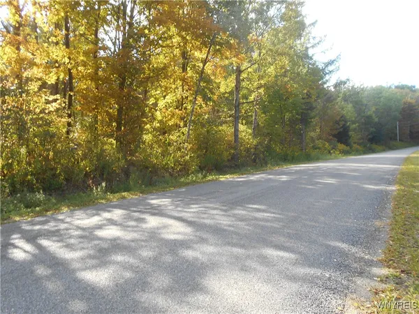 $75,000 | Irish Hill Road, Ellicottville, NY 14731