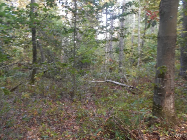 $75,000 | Irish Hill Road, Ellicottville, NY 14731