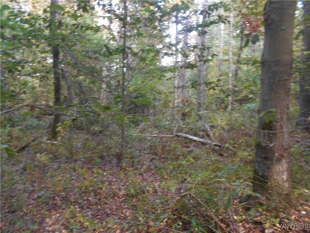 Irish Hill Road Ellicottville, NY 14731 - Photo 11 of 35