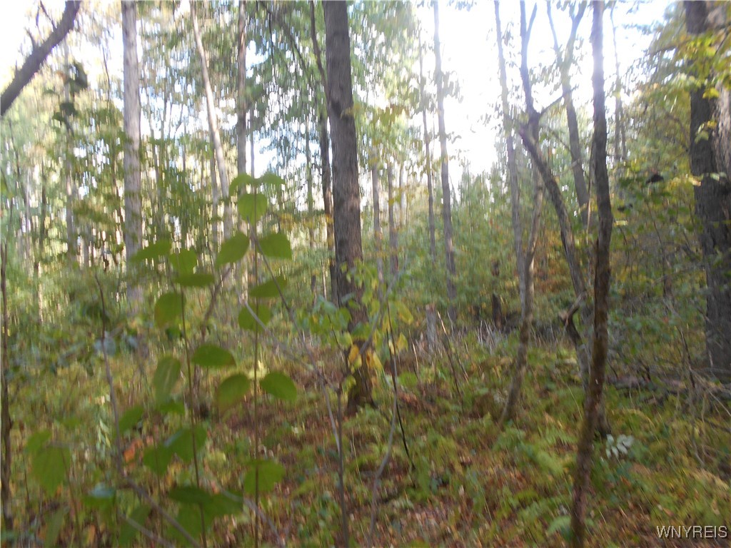 Irish Hill Road Ellicottville, NY 14731 - Photo 12 of 35