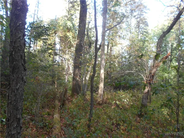 $75,000 | Irish Hill Road, Ellicottville, NY 14731