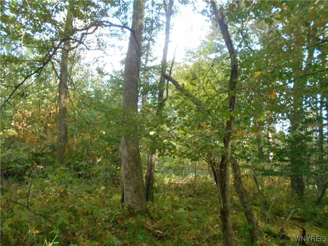 $75,000 | Irish Hill Road, Ellicottville, NY 14731